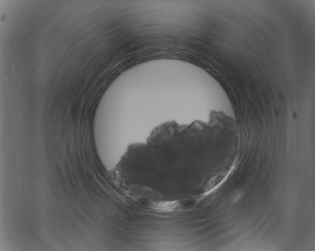 X0000067390191200603311005