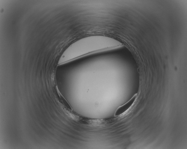 X0000067390192200603311005