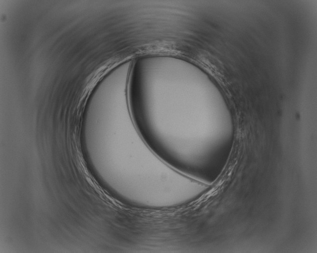 X0000067390193200603311004