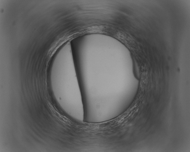 X0000067390194200603311004