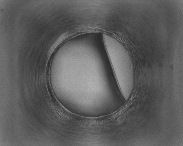 X0000067390195200603311004