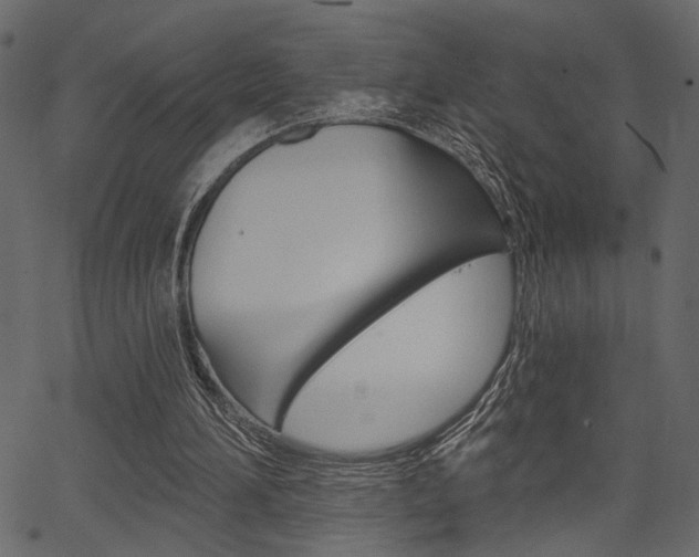 X0000067390196200603311004