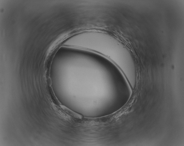 X0000067390197200603311004