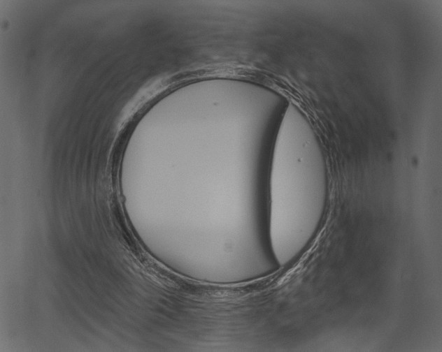 X0000067390198200603311004