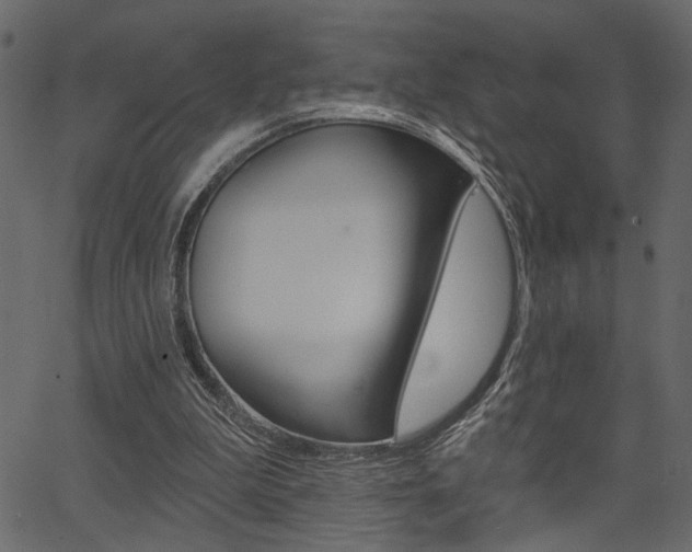 X0000067390199200603311004