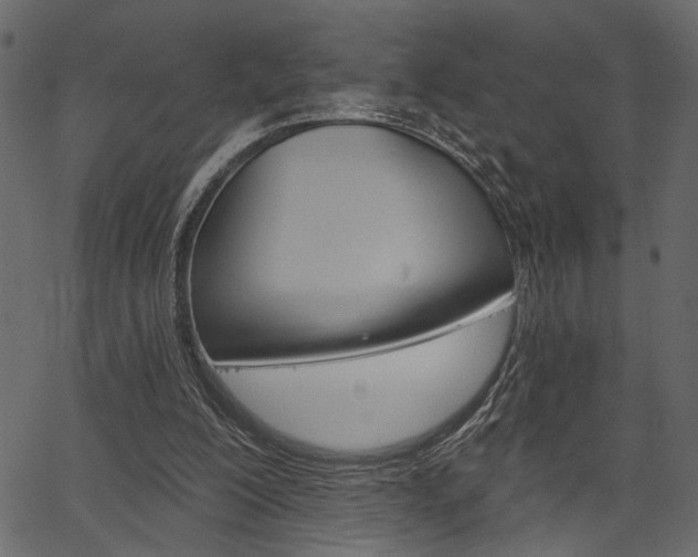 X0000067390200200603311004