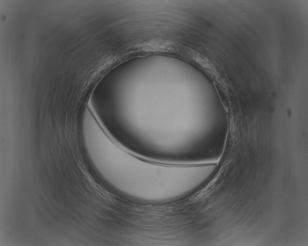 X0000067390201200603311004