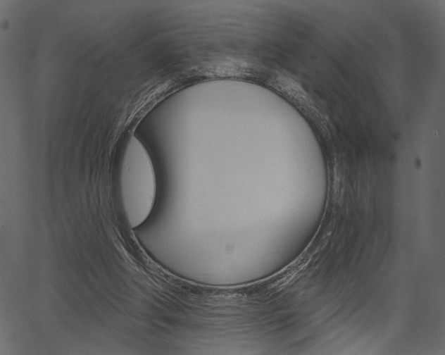 X0000067390202200603311004