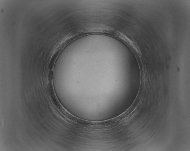 X0000067390203200603311004