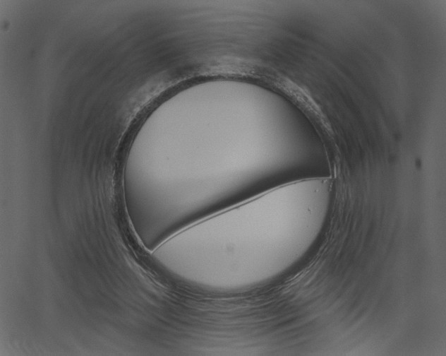 X0000067390204200603311004