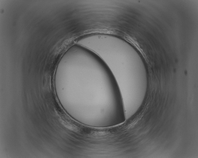 X0000067390205200603311004