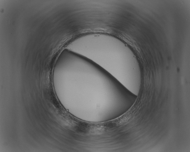 X0000067390206200603311004