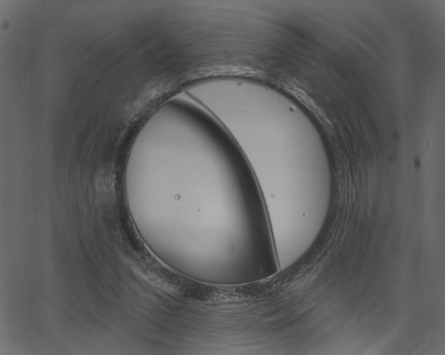 X0000067390207200603311004