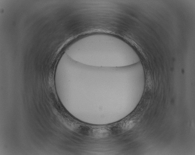 X0000067390208200603311004