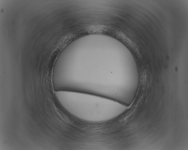 X0000067390209200603311004