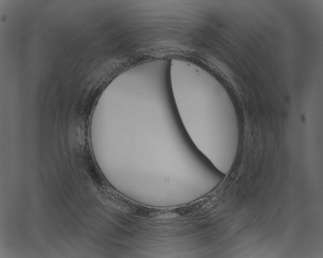 X0000067390210200603311004