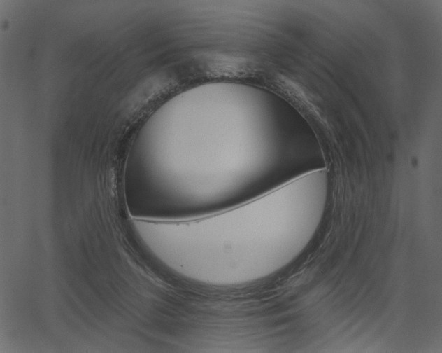 X0000067390211200603311004