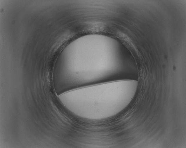 X0000067390212200603311004