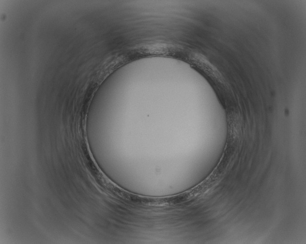 X0000067390213200603311004