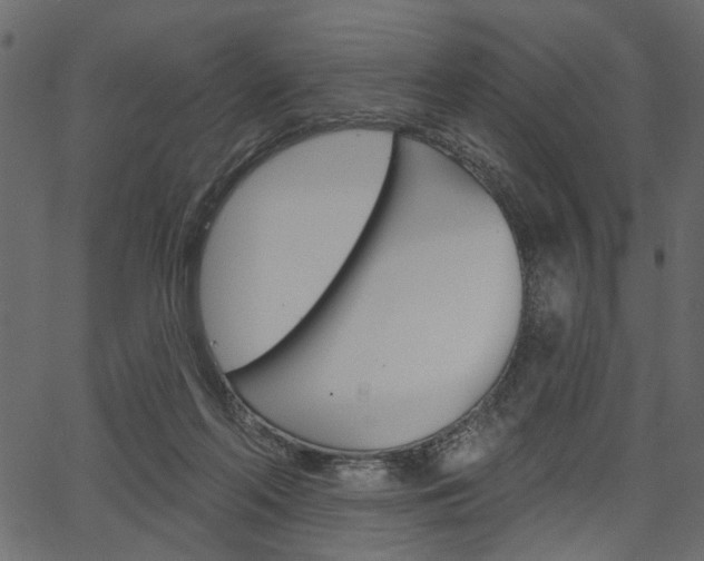 X0000067390214200603311003