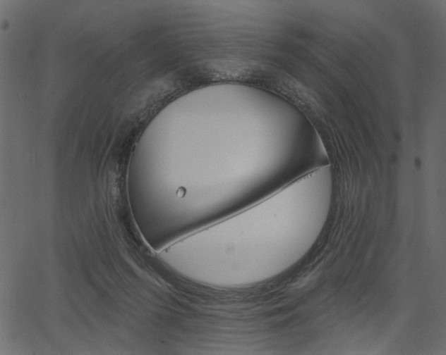 X0000067390215200603311003