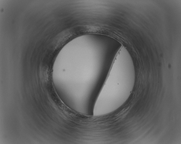 X0000067390216200603311003