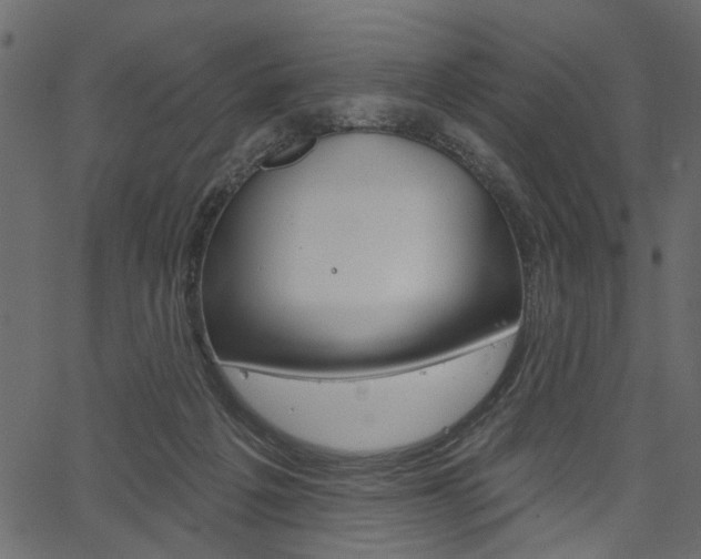 X0000067390217200603311003