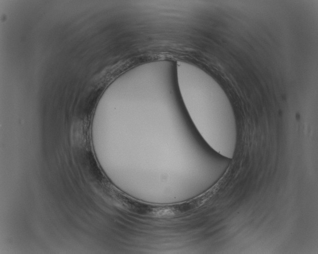 X0000067390218200603311003