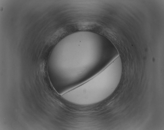 X0000067390219200603311003