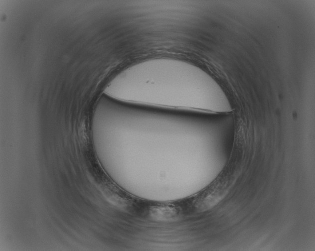 X0000067390220200603311003