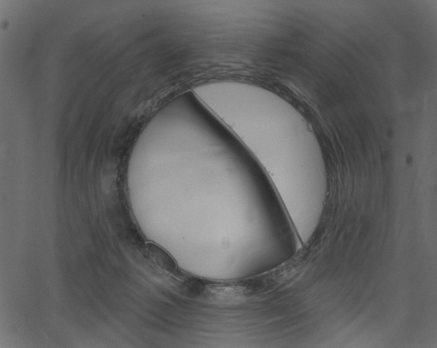 X0000067390221200603311003