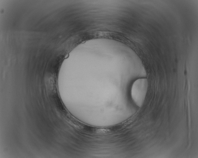 X0000067390222200603311003