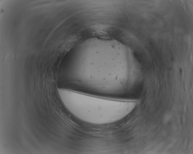 X0000067390223200603311003