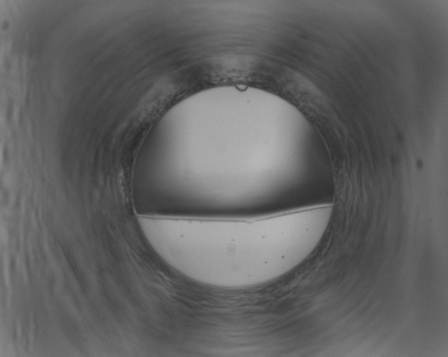 X0000067390224200603311003