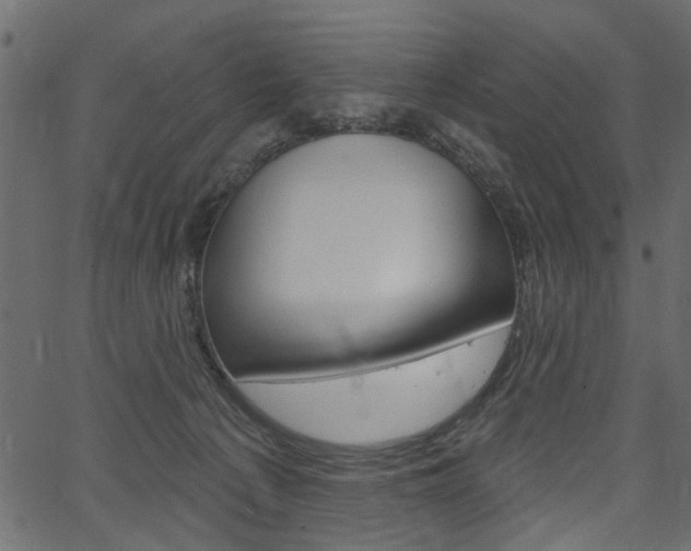 X0000067390225200603311003