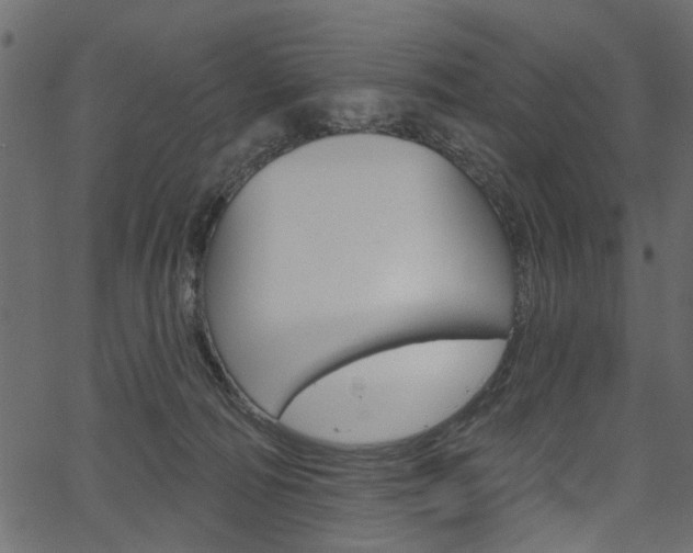 X0000067390226200603311003