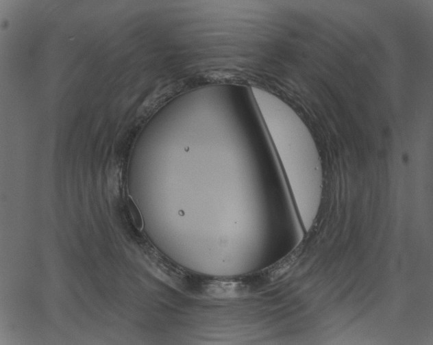 X0000067390227200603311003