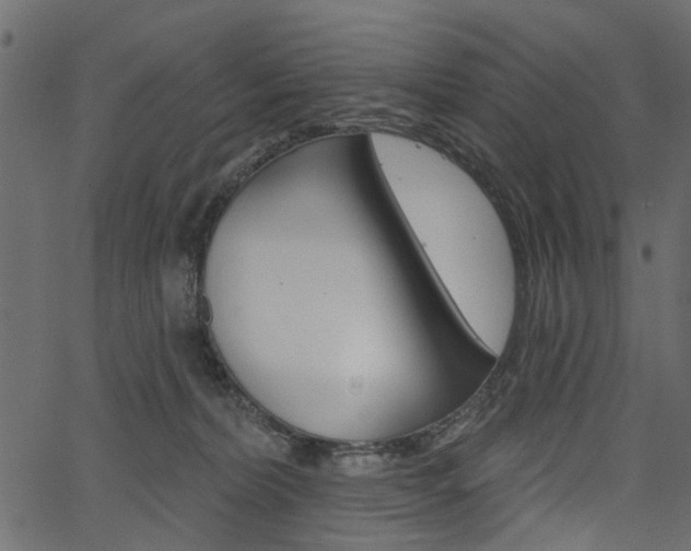 X0000067390228200603311003