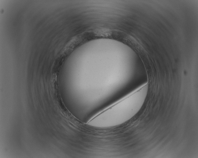 X0000067390229200603311003