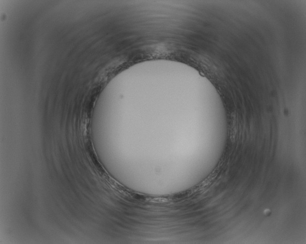 X0000067390230200603311003