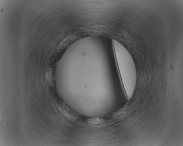 X0000067390231200603311003