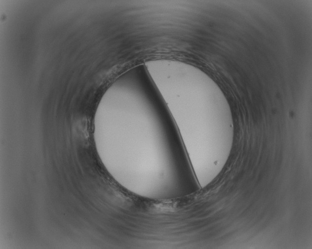 X0000067390232200603311003