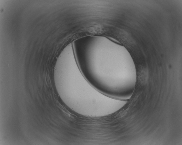 X0000067390233200603311003