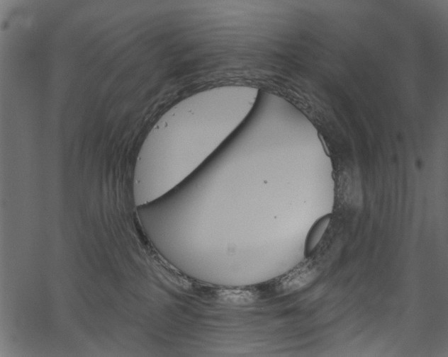 X0000067390234200603311003