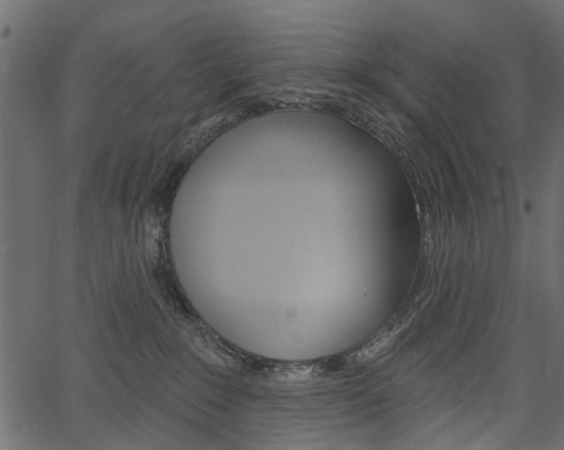 X0000067390235200603311003