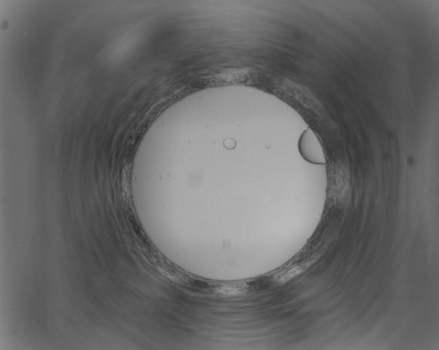 X0000067390236200603311003