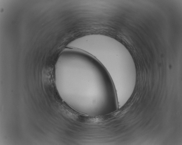 X0000067390237200603311003