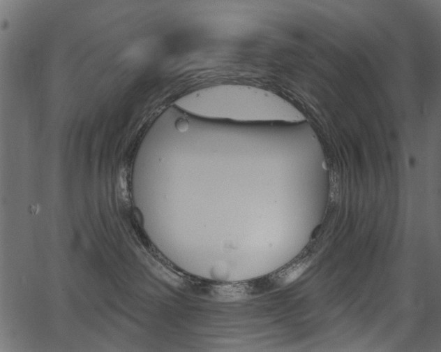 X0000067390238200603311003