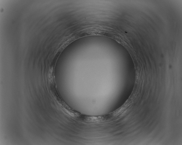 X0000067390239200603311003