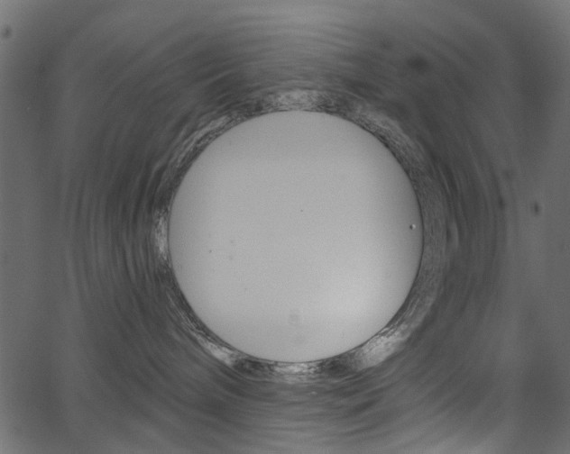 X0000067390240200603311003